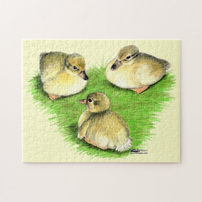 Snowy Mallard Ducklings (Horizontal)