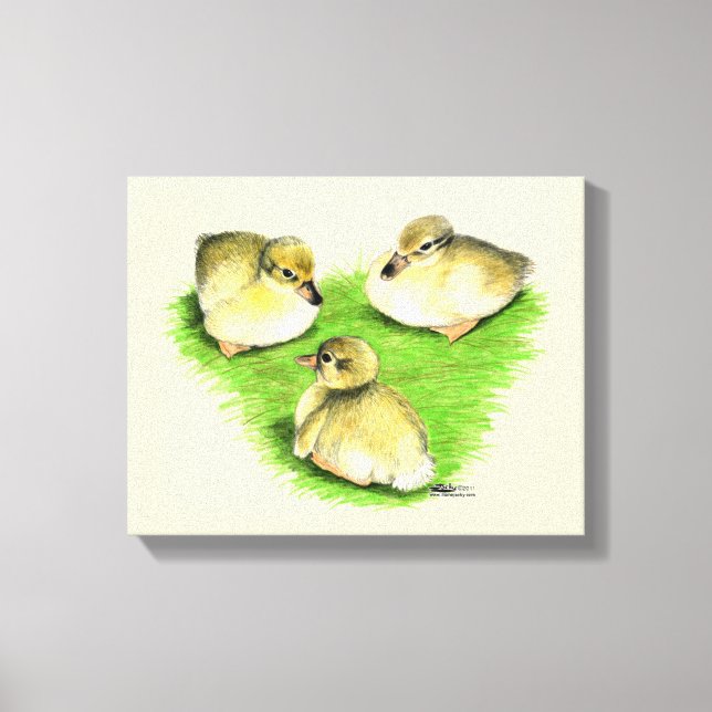 Snowy Mallard Ducklings Leinwanddruck (Vorderseite)