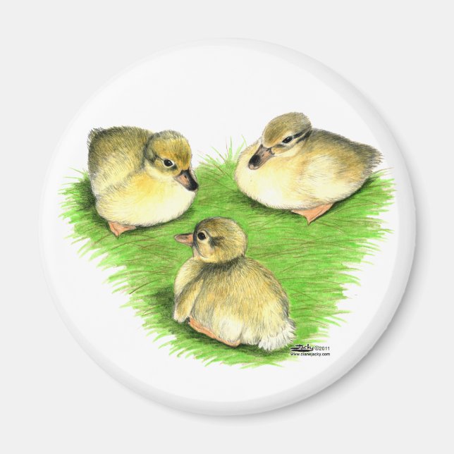 Snowy Mallard Ducklings Magnet (Vorne)