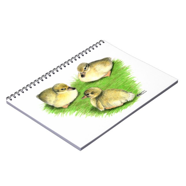 Snowy Mallard Ducklings Notizblock (Linke Seite)