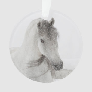 Snowy Mare Horse Ornament
