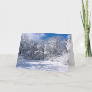 Snowy Marthaler Park und Bäume Karte