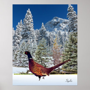Snowy Mountains mit Pheasant Semi Gloss Poster