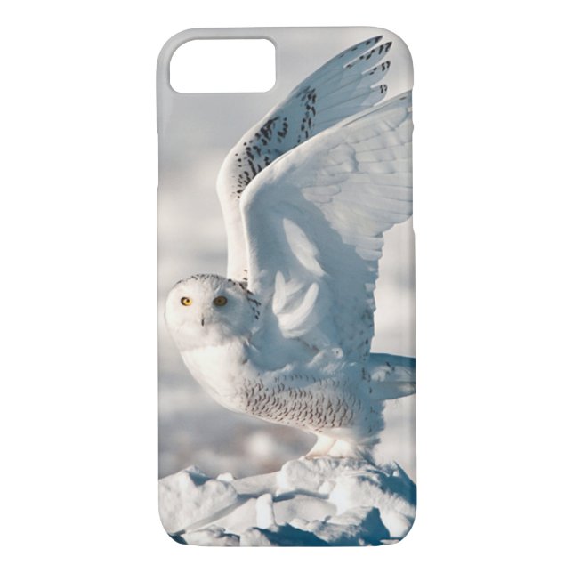 Snowy Owl abheben Case-Mate iPhone Hülle (Rückseite)