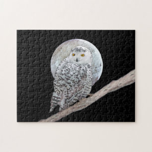 Snowy Owl and Moon Painting - Original Bird Art