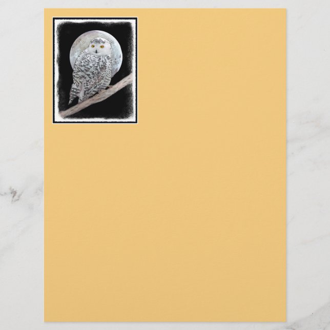 Snowy Owl and Moon Painting - Original Bird Art (Vorderseite)