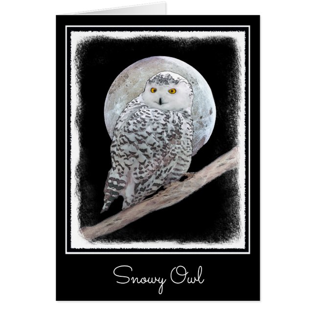 Snowy Owl and Moon Painting - Original Bird Art (Vorne)