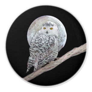 Snowy Owl and Moon Painting - Original Bird Art Keramikknauf