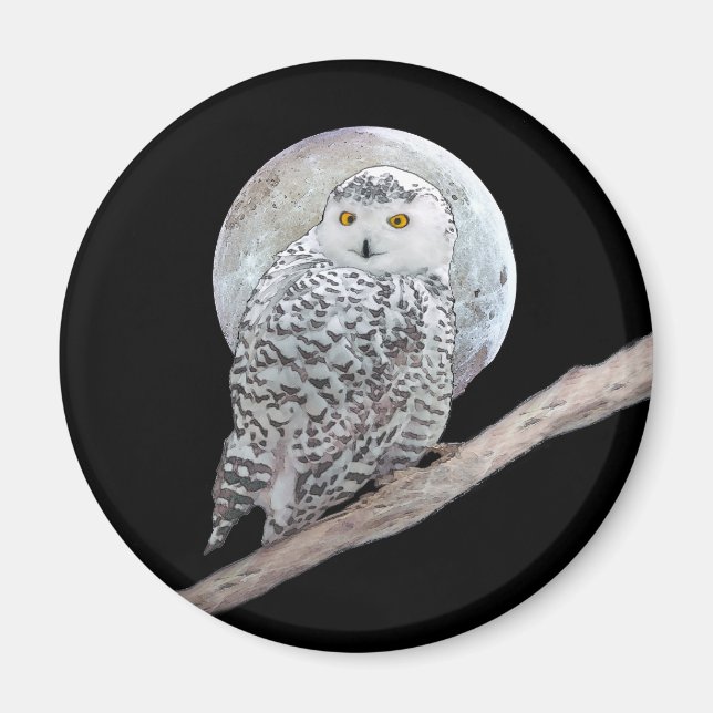 Snowy Owl and Moon Painting - Original Bird Art Magnet (Vorne)