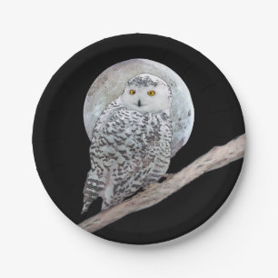 Snowy Owl and Moon Painting - Original Bird Art Pappteller