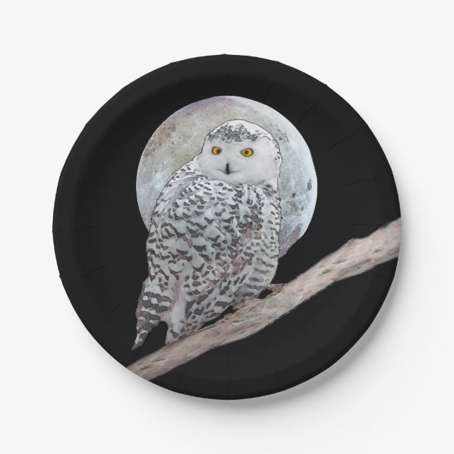 Snowy Owl and Moon Painting - Original Bird Art Pappteller (Vorderseite)