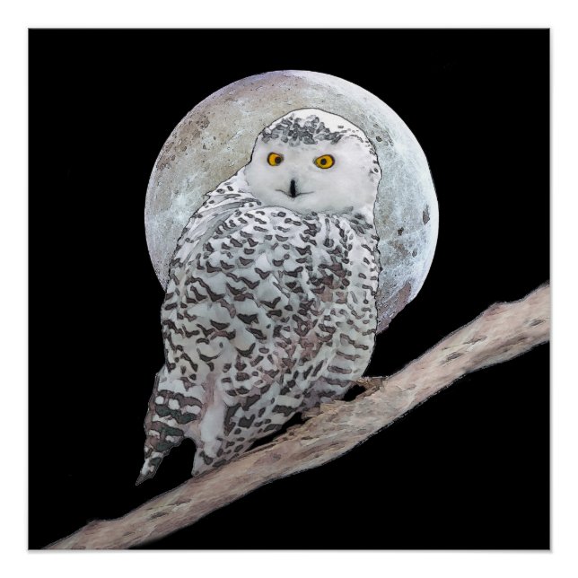 Snowy Owl and Moon Painting - Original Bird Art Poster (Vorderseite)