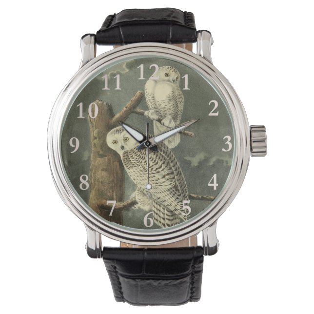 Snowy Owl Audubon Bird Artwork Armbanduhr (Vorderseite)