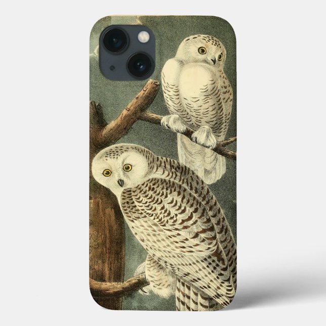 Snowy Owl Audubon Bird Artwork Case-Mate iPhone Hülle (Rückseite)