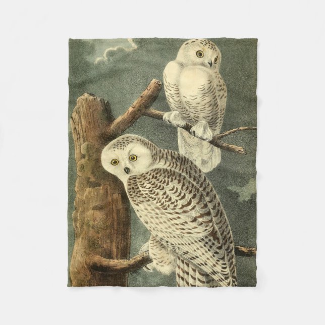 Snowy Owl Audubon Bird Artwork Fleecedecke (Vorderseite)