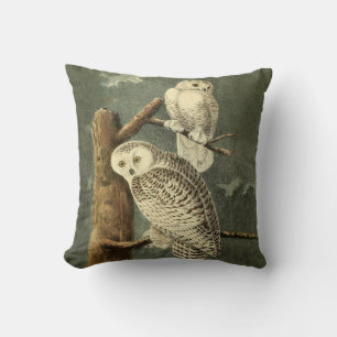 Snowy Owl Audubon Bird Artwork Kissen