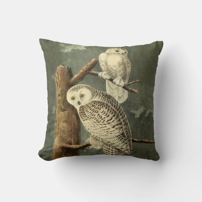 Snowy Owl Audubon Bird Artwork Kissen (Vorderseite)