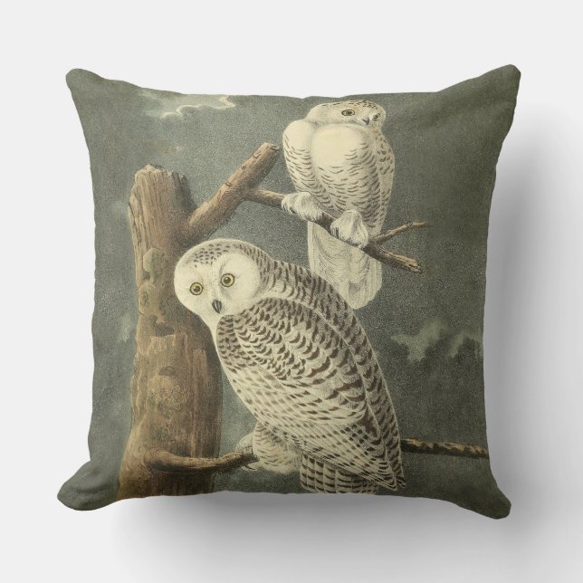Snowy Owl Audubon Bird Artwork Kissen Für Draußen (Vorderseite)