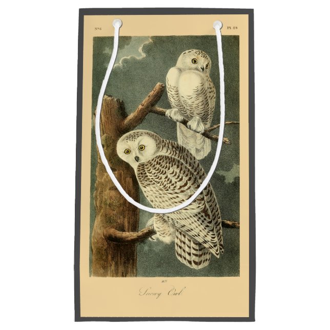 Snowy Owl Audubon Bird Artwork Kleine Geschenktüte (Vorderseite)