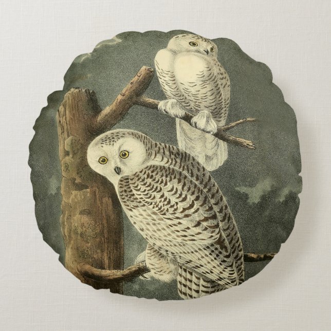 Snowy Owl Audubon Bird Artwork Rundes Kissen (Vorderseite)