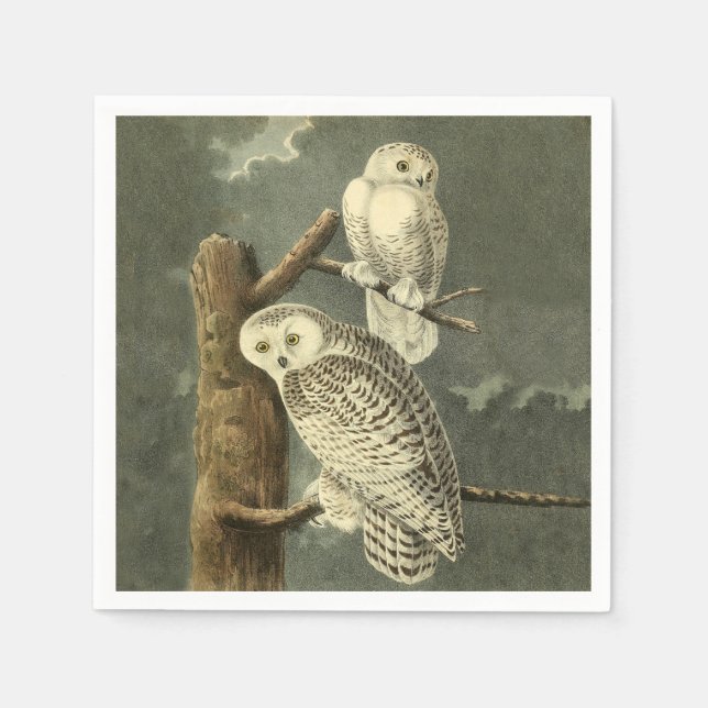Snowy Owl Audubon Bird Artwork Serviette (Vorderseite)