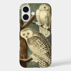 Snowy Owl Audubon Bird Artwork title_seo2
