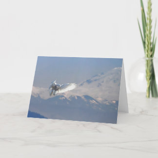 Snowy Owl, Boundary Bay, Mt. Baker, BC Feiertagskarte