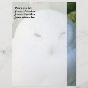 Snowy Owl Custom Letterhead Briefkopf