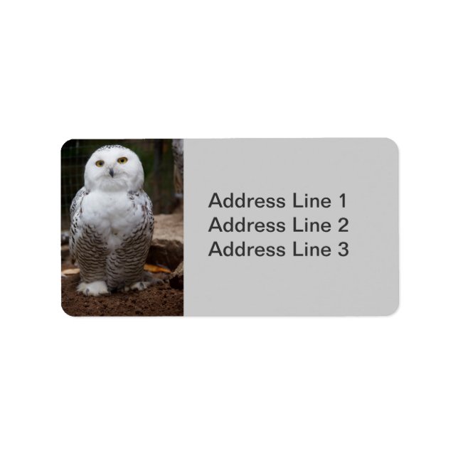 Snowy Owl Foto Label Adressaufkleber (Vorne)