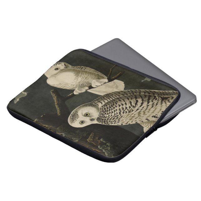Snowy Owl, John James Audubons Vögel von Amerika P Laptopschutzhülle (Vorne Oben)