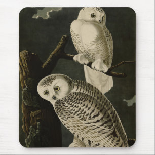 Snowy Owl, John James Audubons Vögel von Amerika P Mousepad