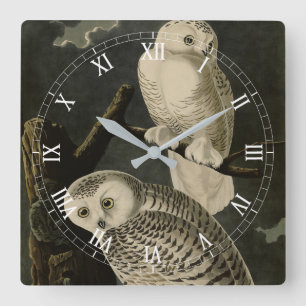 Snowy Owl, John James Audubons Vögel von Amerika Quadratische Wanduhr