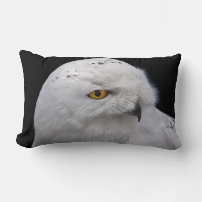 Snowy Owl Kissen (Vorderseite)