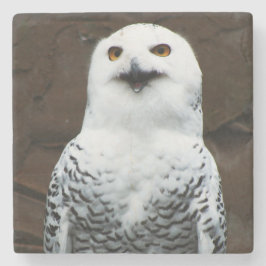 Snowy Owl Küstenercnm Steinuntersetzer