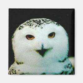 Snowy Owl Magnet