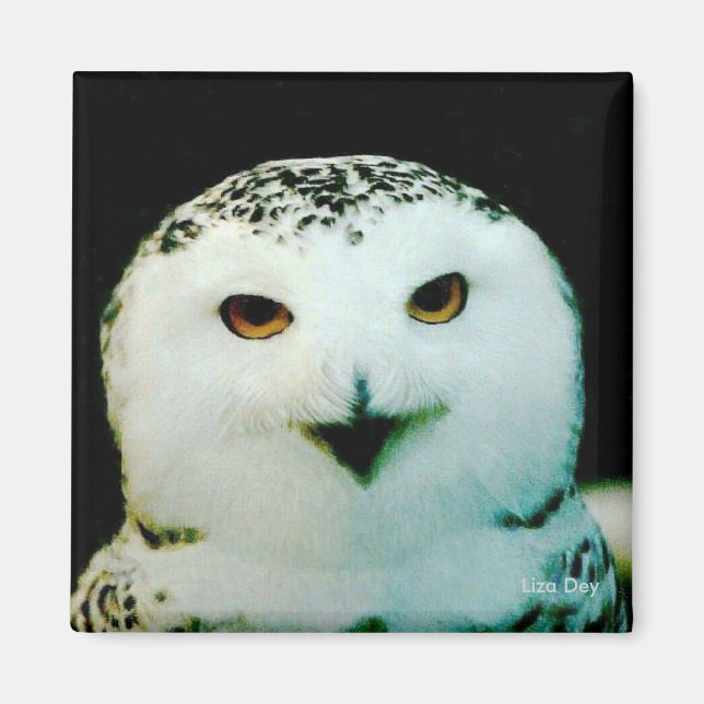 Snowy Owl Magnet (Vorne)