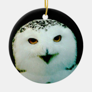 Snowy Owl Ornament