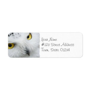 Snowy Owl Photo Étiquettes de la poste