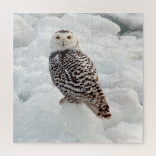 Snowy Owl Puzzle