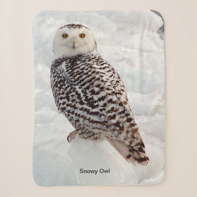 Snowy Owl Sherpa Blanket Sherpadecke (Vorderseite)