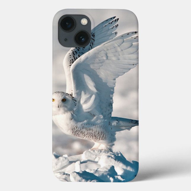 Snowy Owl taking off from snow Case-Mate iPhone Hülle (Rückseite)