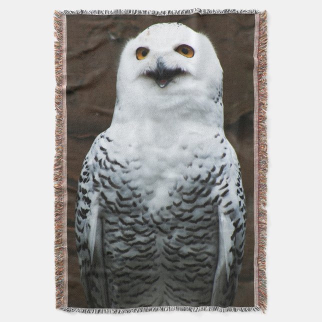 Snowy Owl tbcna Decke (Vorderseite Vertikal)