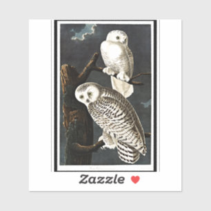 Snowy Owl von John James Audubon Aufkleber