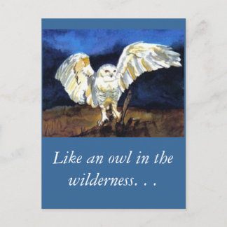 Snowy Owl von Paula Atwell Postkarte