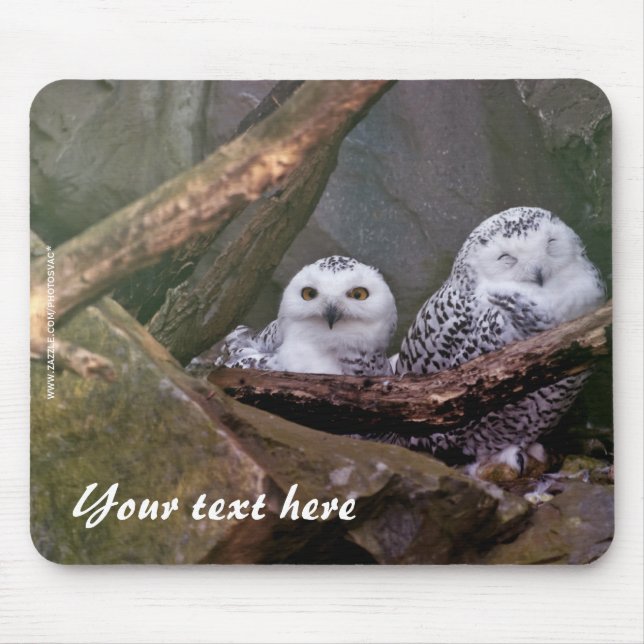 Snowy Owls Mousepad (Vorne)