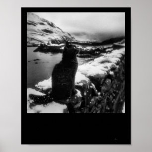 Snowy Panther Sticker Poster