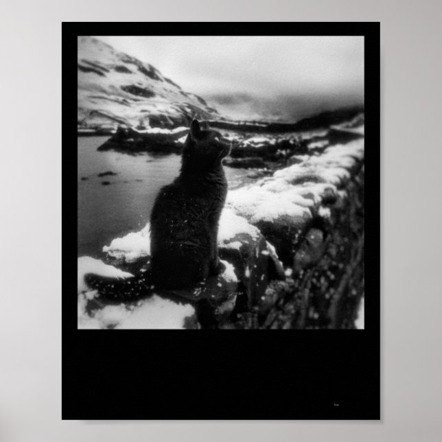Snowy Panther Sticker Poster (Vorne)