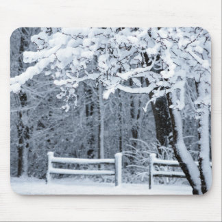 Snowy-Paradies Mousepad