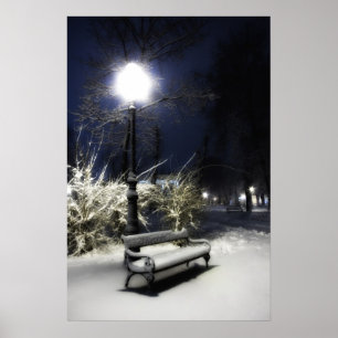 Snowy-Park Poster