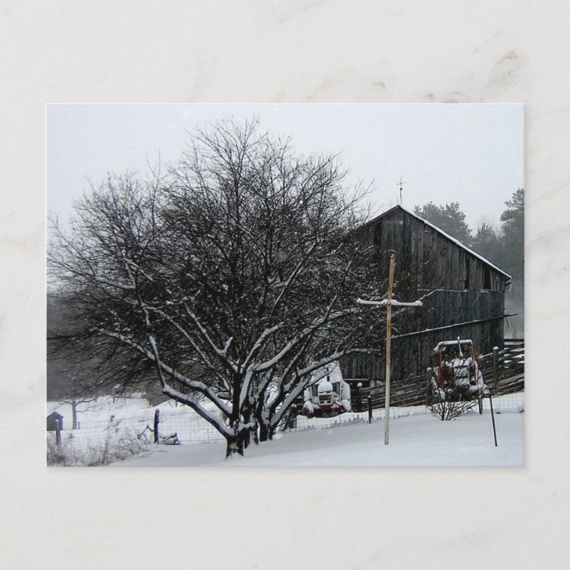 Snowy Parters' Yard Postkarte (Vorderseite)
